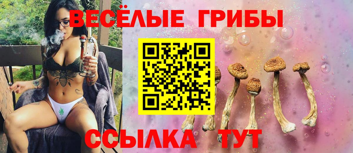 Галлюциногенные грибы мицелий Унеча