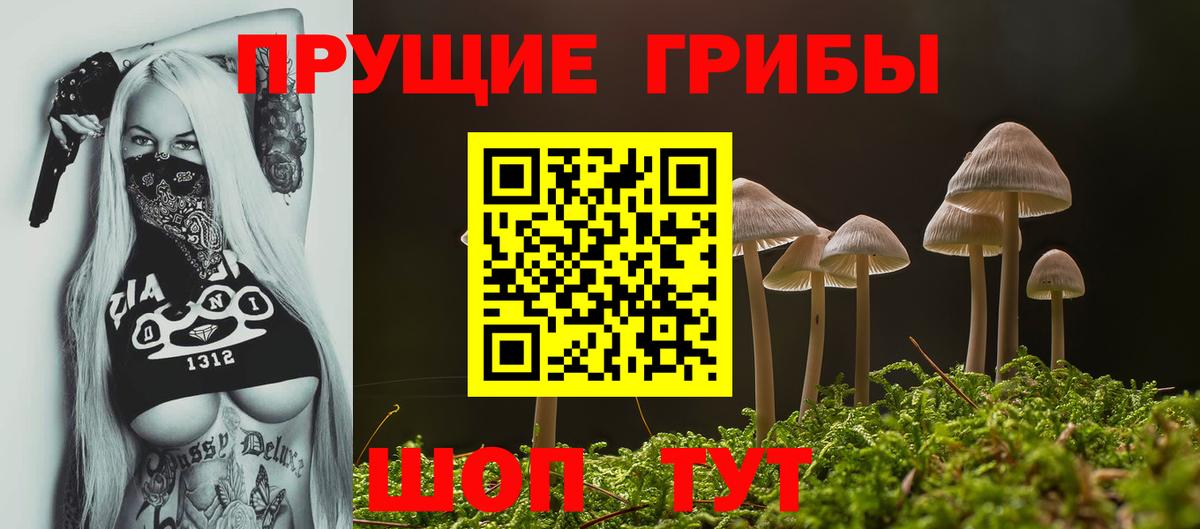 Псилоцибиновые грибы мицелий  Вход с VPN  Унеча 