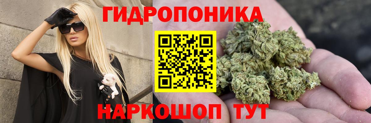 Шишки марихуана марихуана  Вход с VPN  Бошки Шишки MAZAR  Каннабис гибрид  Унеча 